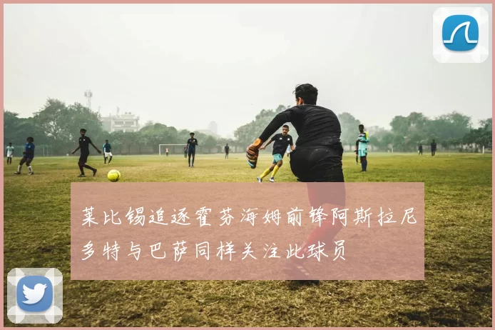 莱比锡追逐霍芬海姆前锋阿斯拉尼多特与巴萨同样关注此球员