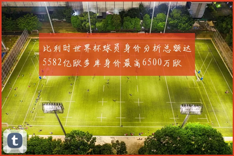 比利时世界杯球员身价分析总额达5582亿欧多库身价最高6500万欧